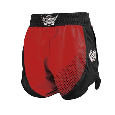 PRO v2 Kickboxing Shorts