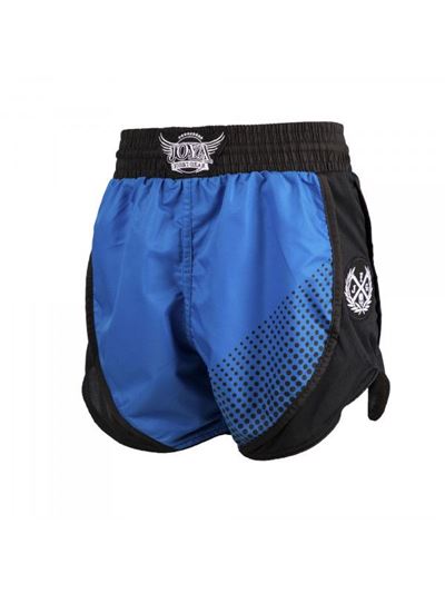 PRO v2 Kickboxing Shorts