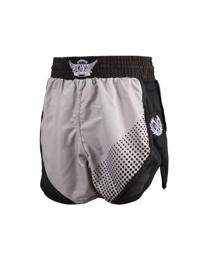PRO v2 Kickboxing Shorts